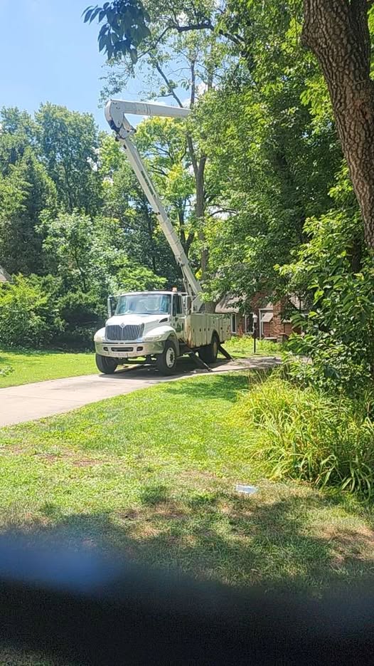 Wood Master Tree Service bucket truck on a residential job site